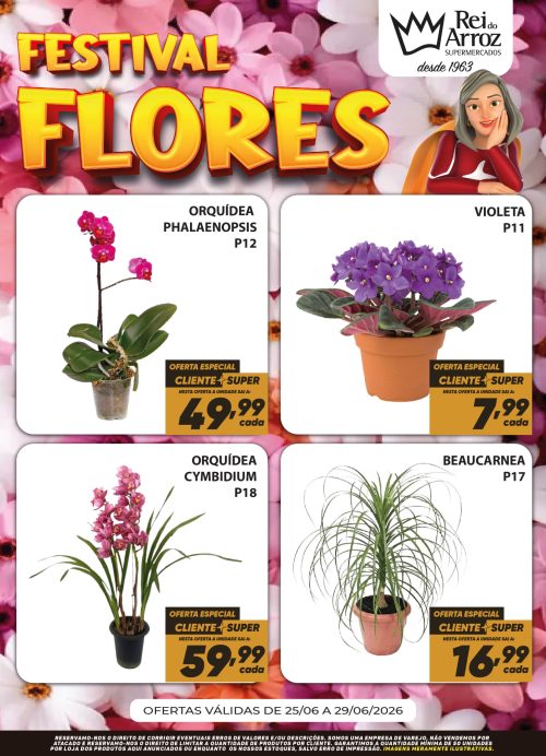 HORTIFRUTI FLORES copiar_Prancheta 1 cópia 3