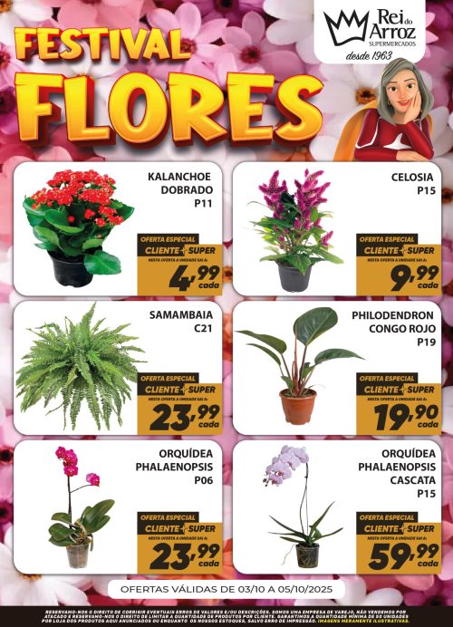 HORTIFRUTI FLORES_Prancheta 1 cópia 2